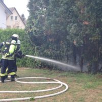Einsätze vom 9., 13. und 14. Juli 2018