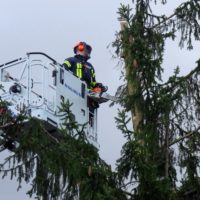 Sturm- und Orkantief „Sabine“ hält auch Feuerwehr Seeheim auf Trab