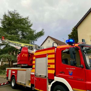Ast droht auf die Straße zu fallen