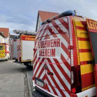 Tragehilfe RD